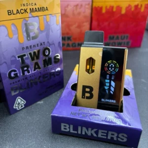 Blinker LED All in One 2g (Großhandel)